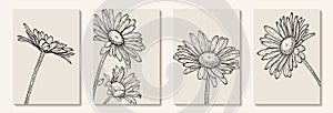 Set of creative minimalist hand draw illustrations floral outline daisy pastel biege simple shape for wall decoration, postcard or