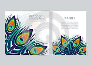 Set of creative multicolored letterhead template with peacock feathers