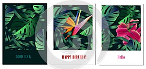 Set of creative universal floral cards in tropical style