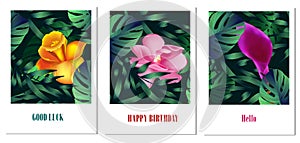 Set of creative universal floral cards in tropical style