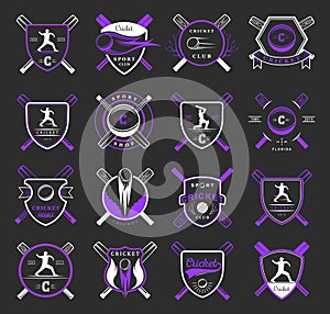 Set Cricket Badges