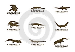 Set of Crocodile Logo Vector. Alligator emblem template Illustration