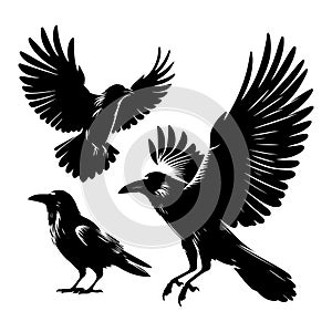 Set of crow silhouette vector on a white background photo