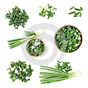 Set of cut green onions on background, top view