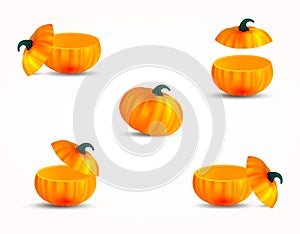 Set of cut realistic orange color pumpkins isolated on white background. 3D object for design. Vector illustration.