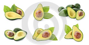 Set of cut and whole avocados on background, banner design photo