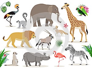 Set of cute African animals icons isolated on white background, crowned crane, lemur, elephant, giraffe, lion, antelope