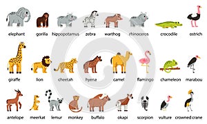 Set of cute African animals with names in cartoon style on white background.