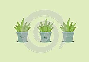 set of cute aloe vera plant in cement clay pot vector emoji illustration features smile, happy and sleeping expression face