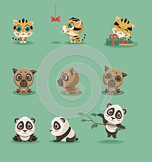 Set of cute animal cubs: panda, pug and tiger