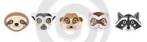 A set of cute animal faces. Sloth  lemur  meerkat  ferret and raccoon. Vector flat image on a white background photo