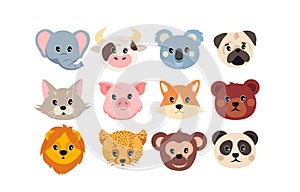 Set of cute animal faces on white background