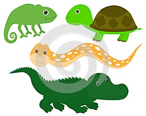 Set Cute Animal Turtle Chameleon Crocodile Snake Vector Illustration