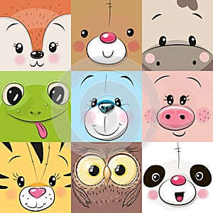 Set of Cute animals faces