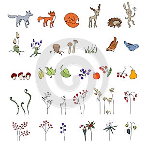 Set with cute animals. Wildlife. Forest mushrooms, flowers and leaves