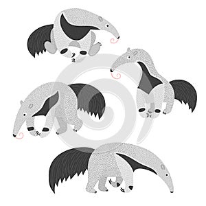 Set of cute ant eaters. Vector illustration