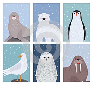 Set of cute arctic animals in cartoon style. snowy owl, penguin, walrus, fur seal and polar bear