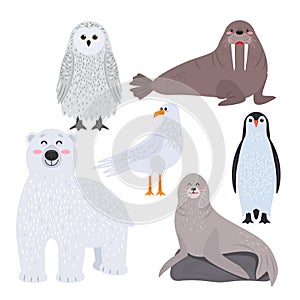 Set of cute arctic animals in cartoon style. snowy owl, penguin, walrus, fur seal, seagull and polar bear