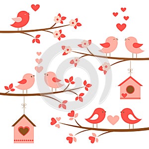 Set of cute birds in love on blooming branches