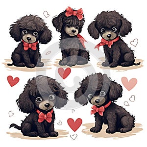 Set of cute black poodles