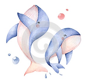 Set of Cute blue whale. Isolated on white background. Watercolor illustration
