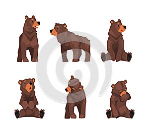Set of cute brown bear in different poses. Wild forest sitting and standing mammal animal cartoon vector illustration