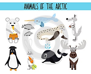 Set of Cute cartoon Animals and birds of the Arctic on a white background. Polar bear, Arctic wolf, hare, walrus, penguin, narwhal