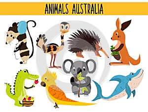 Set of Cute cartoon Animals and birds of Australia and its ostrovov. Kangaroo, possum, numbat, the Koala bear, EMU, parrot, alliga