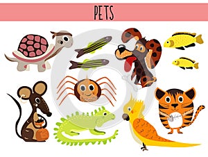 Set of Cute cartoon Animals and birds Pets. Turtle, spider, cat, dog, aquarium fish, iguana, lizard, and parrot mouse . Vector
