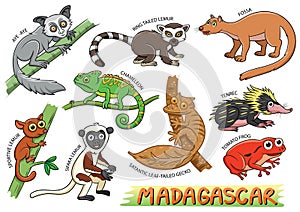 Set of Cute cartoon Animals and in the Madagascar areas