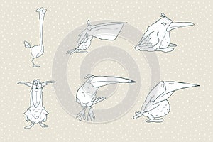 Set of cute cartoon bird isolated on white background. Vector animal illustration.