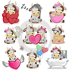 Set of Cute Cartoon Cow photo