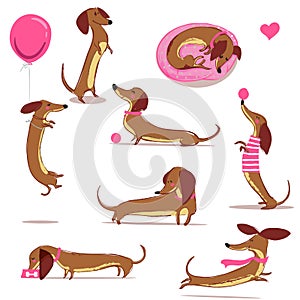 Set with cute cartoon dachshund