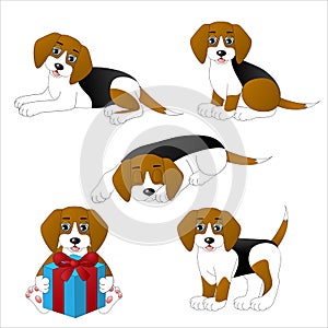Set of cute cartoon dogs, beagle