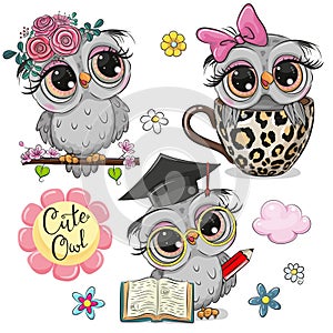 Set of cute cartoon owls