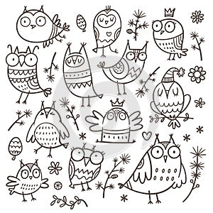 Set with cute cartoon owls. Funny animals collection. Doodle birds print. Vector herbs  poster.