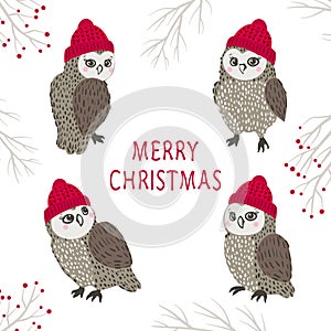 Set of cute cartoon owls in hats. Merry Christmas