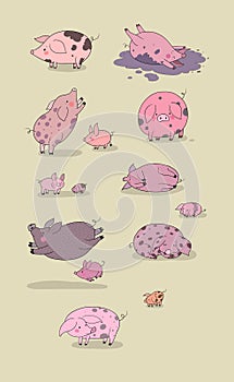 Set with cute cartoon pigs. Farm animals. Pig in different poses