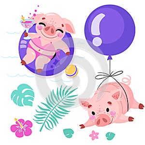 Set of cute cartoon pigs