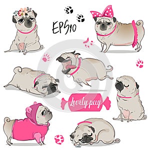 Set with cute cartoon pug