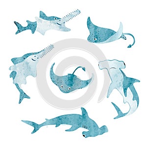 Set of cute cartoon sea animals. Vector watercolor illustration of shark, skate, sawfish