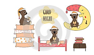 Set of cute cartoon Teddy bear in a hat on white background. The character reads a book, sits on the moon, sits on the bed, on