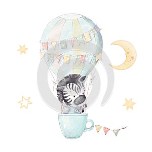 Set of cute cartoon zebra in a hot air balloon. Watercolor illustration