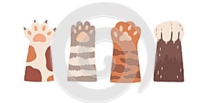 Set of cute cat paws with claws and soft pads. Adorable fuzzy hands of kittens. Sweet funny kitty's foot. Animal's high