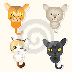 Set of cute cat Vector cartoon Illustration