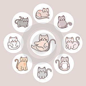 set cute cats