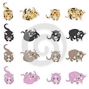 Set cute cats
