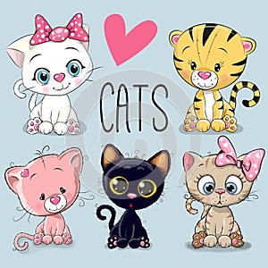 Set of cute cats