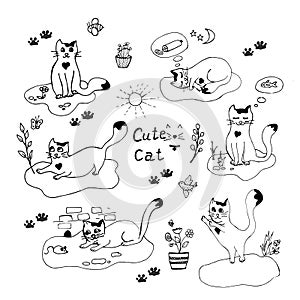 Set of cute cats drawn by hand. White cat with a black spot in the shape of a heart, feline dreams