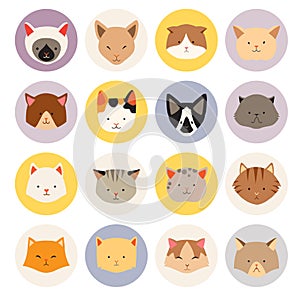 Set of cute cats flat icons, vector flat illustrations